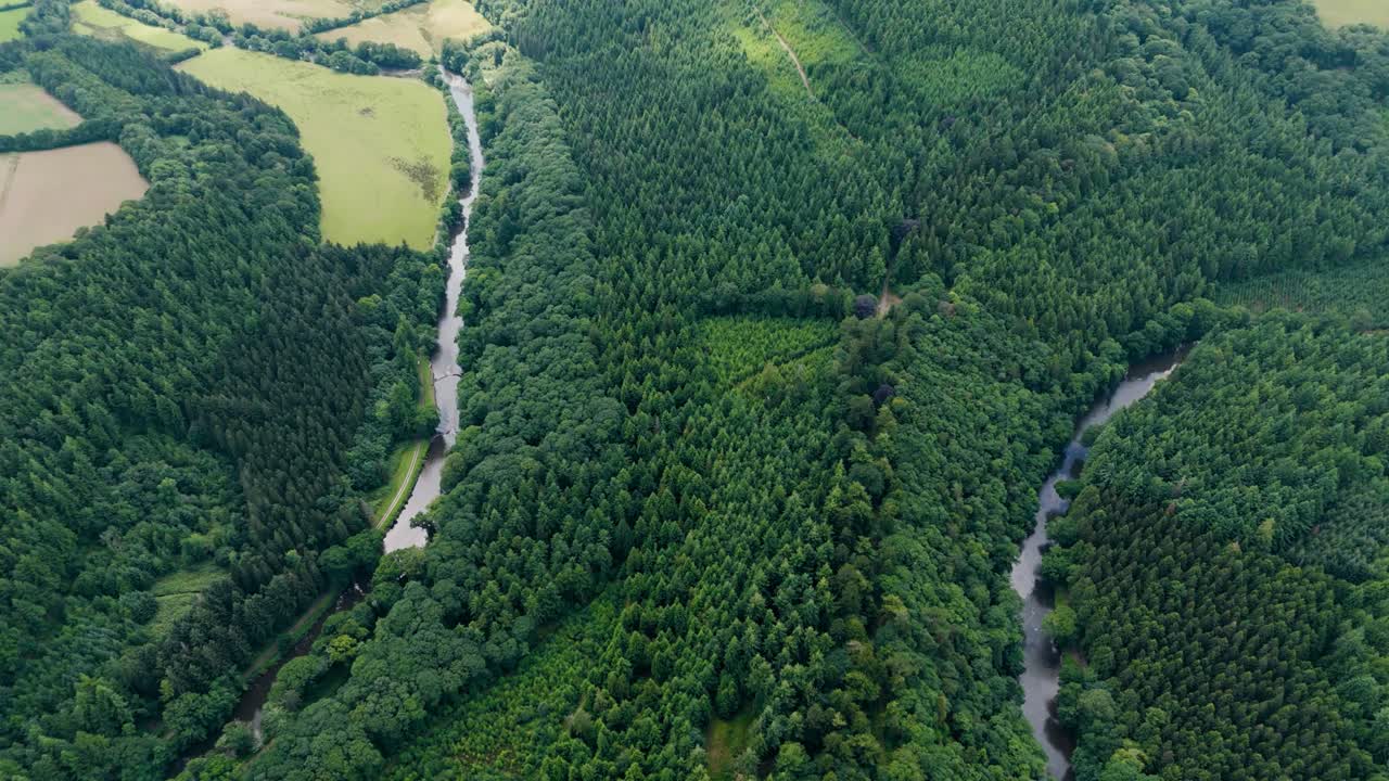 Aerial View of a Winding River Through Dense Forest and Green Fields