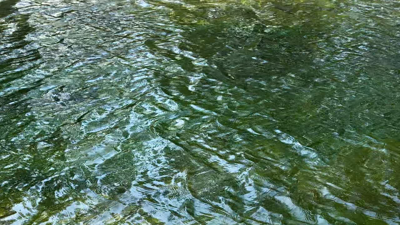 fondo de agua de río verde clara que fluye lentamente