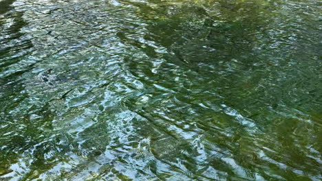 background of clear green river water flowing slowly