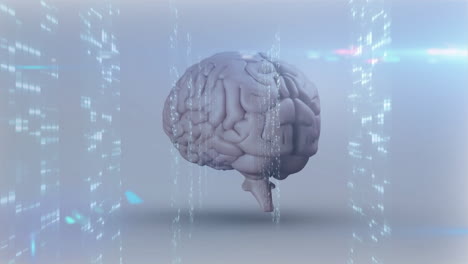 animation of digital brain with data streams and futuristic elements in school