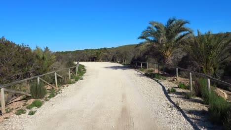 Eine-Von-Palmen-Und-Holzgeländern-Gesäumte-Schotterstraße-Führt-An-Einem-Perfekten-Sommertag-Zum-Strand