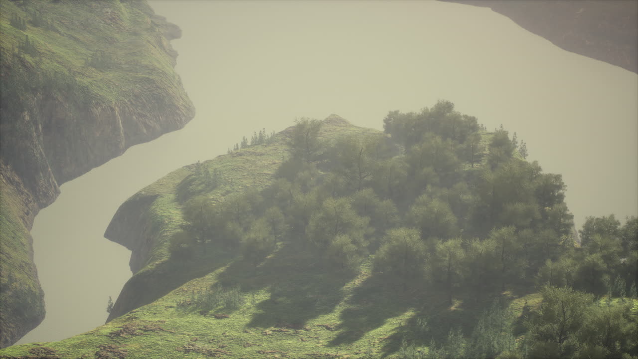 vista aérea del ecosistema de la selva tropical y el medio ambiente saludable