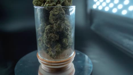 a detailed zoom out shot of a cannabis plant, marijuana flower, hybrid strains, indica and sativa, on a 360 rotating stand in a shiny glass, 120 fps slow motion full hd, cinematic studio lighting