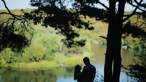 couple in forest. silhouette of couple hugging in forest near pond