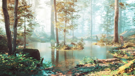 vista panorámica del majestuoso bosque de hoja perenne en una niebla matutina