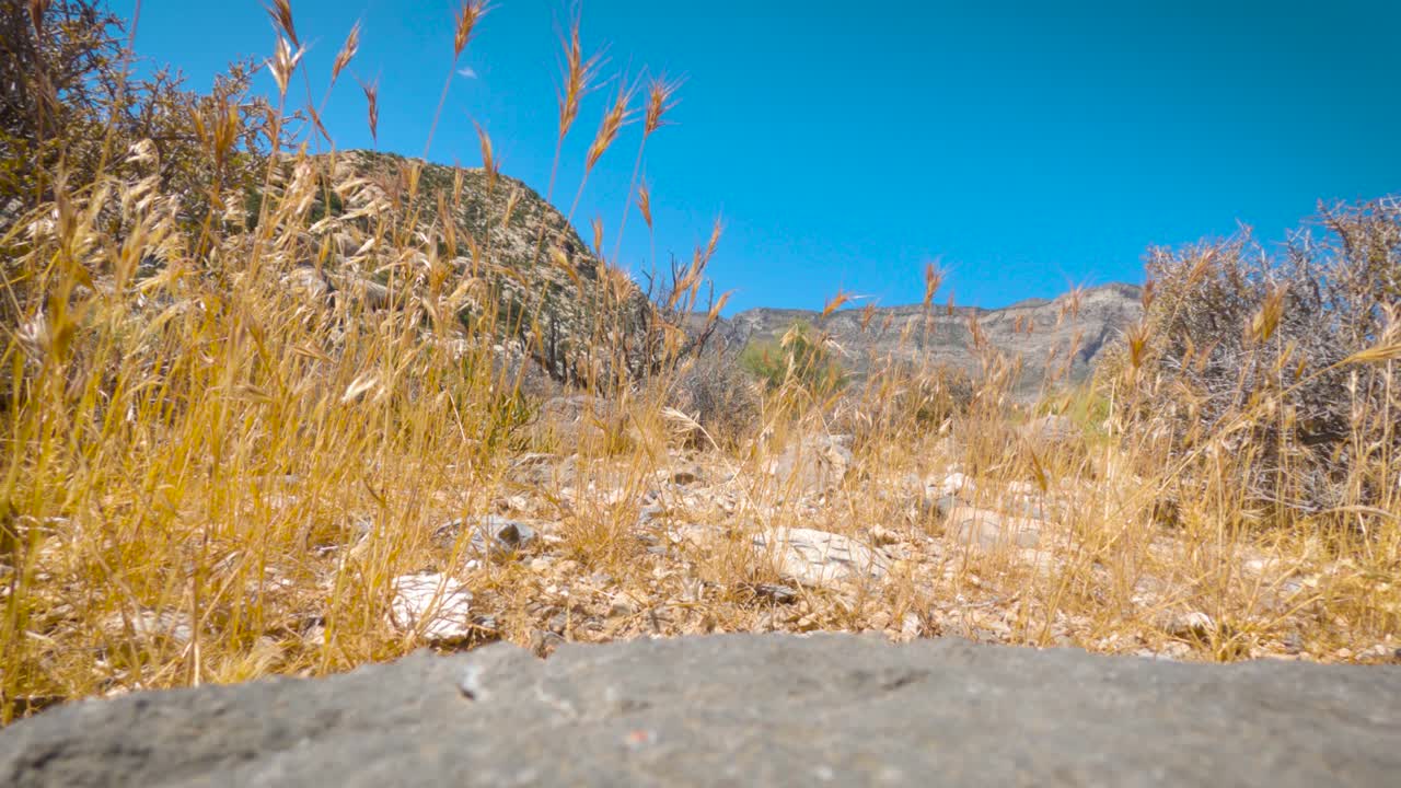 Breezy sunny summer day in the Nevada desert