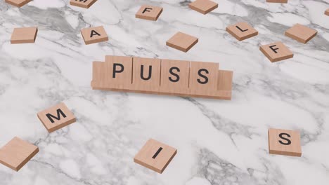 puss woord op scrabble
