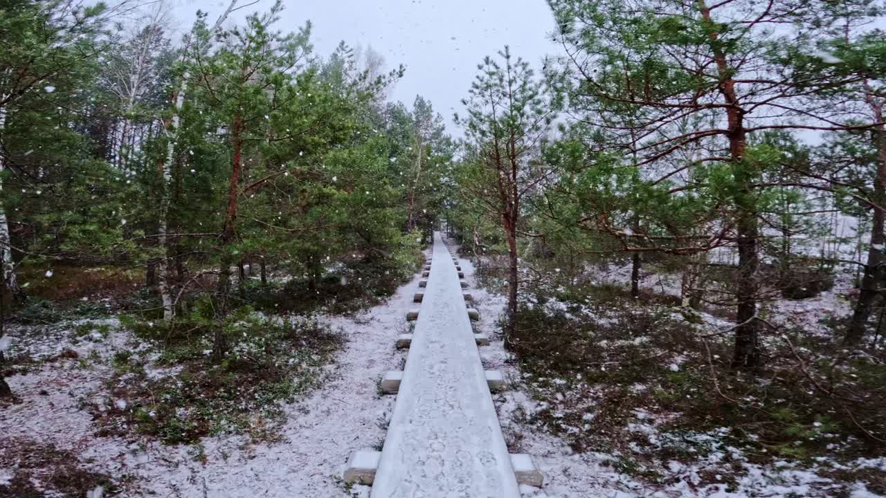 Wooden boardwalk stretches through snowy bog forest, snowflakes fall slow motion
