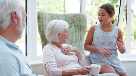 Nieta-Y-Hablando-Con-Los-Abuelos-Durante-La-Visita-A-La-Casa-De-Retiro