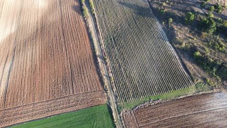 aventura con drones aéreos de 4k: pueblo de pentavriso, kastoria, grecia