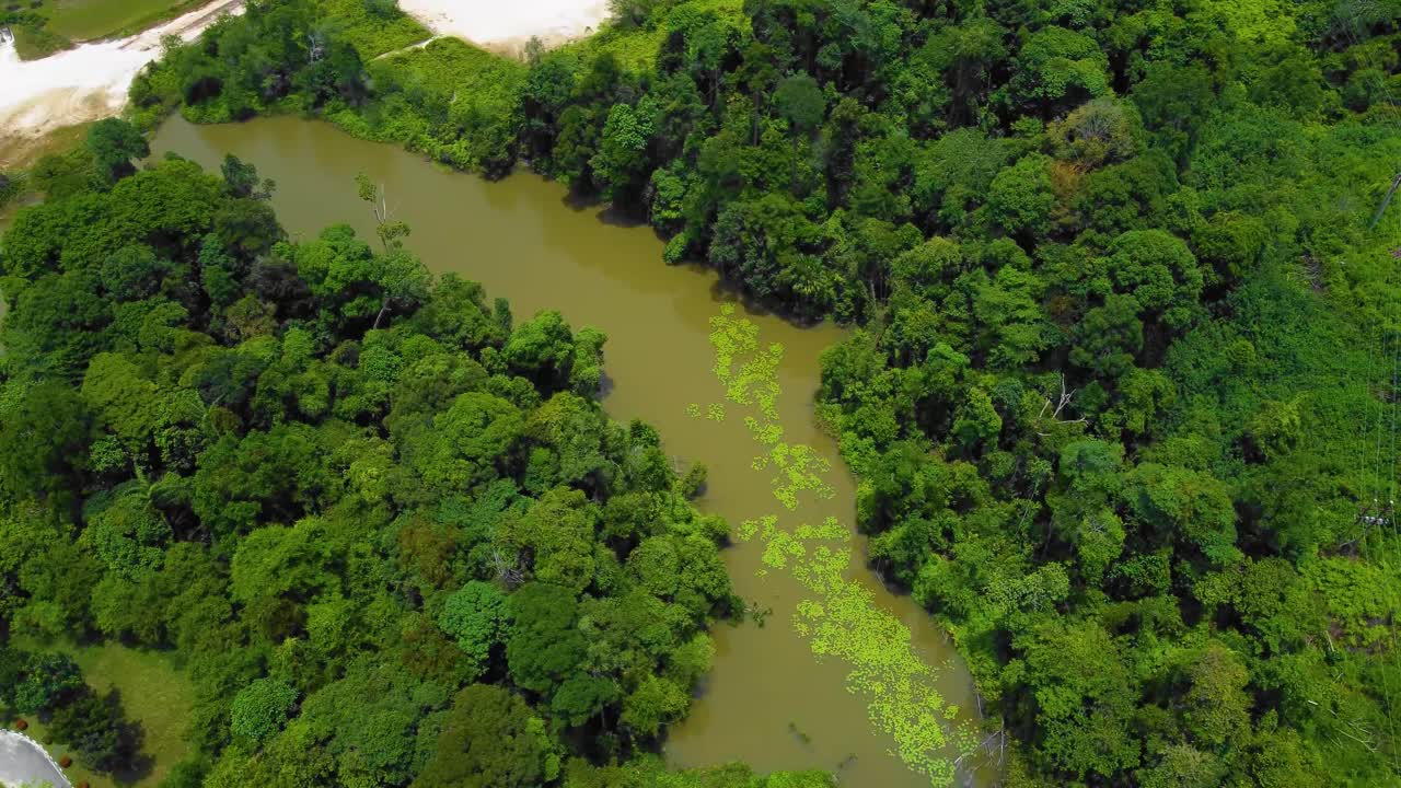 인도네시아 리아우에 위치한 열대림 한가운데에 있는 많은 집, 도로, 나무, 호수 및 인프라로 구성된 삼림 벌채 문제 이후 놀라운 영화 4k 주거용 드론 영상