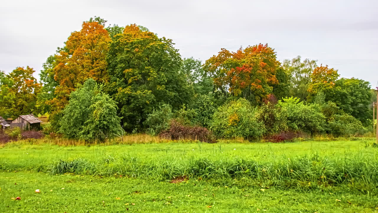 toma estática de nubes soplando sobre un grupo de árboles rodeados de pastizales verdes en el lapso de tiempo en la primavera durante todo el día