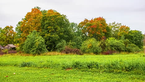static shot of clouds blowing over group of trees surrounded by green grasslands in timelapse in the spring time throughout the daytime