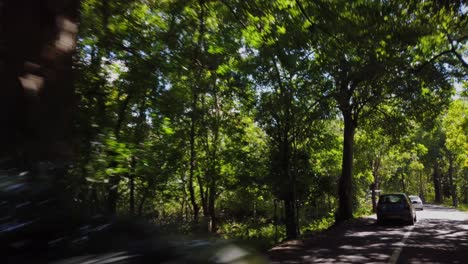 una toma de un auto de una carretera que cruza un bosque tropical