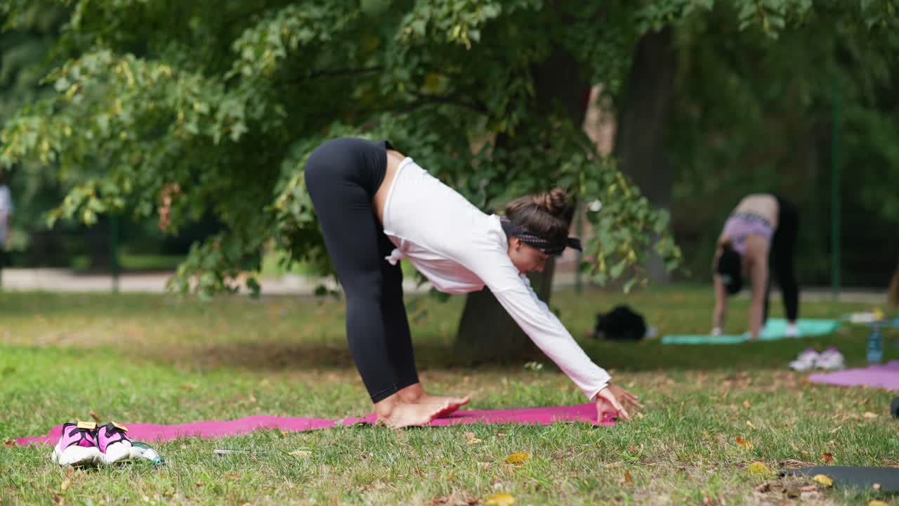 공원 에서 야외 요가 수업