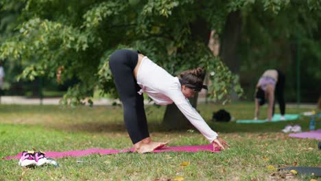 clase de yoga al aire libre en un parque