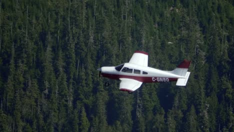 small private plane flying over pine tree forest, air to air footage