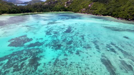 seychelles la digue snorkeling parque marino3.mp4