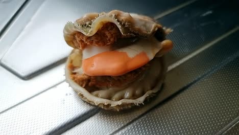 Freshly-baked-Bay-scallop-saltwater-clam-without-it's-shell-on-aluminium-kitchen-surface