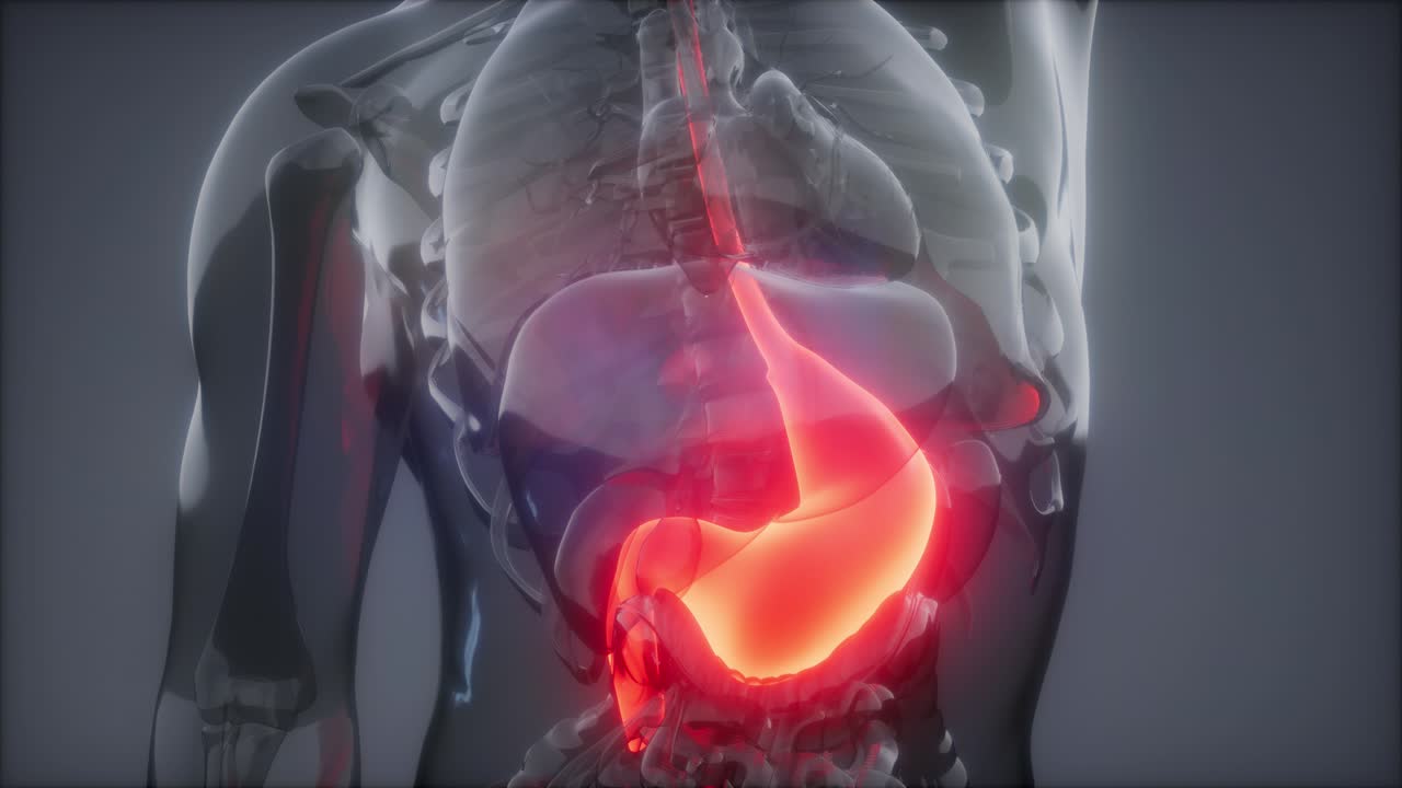 examen de radiología estomacal humano
