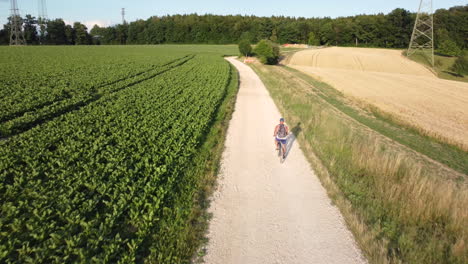 cyclist on a gravel path through fields