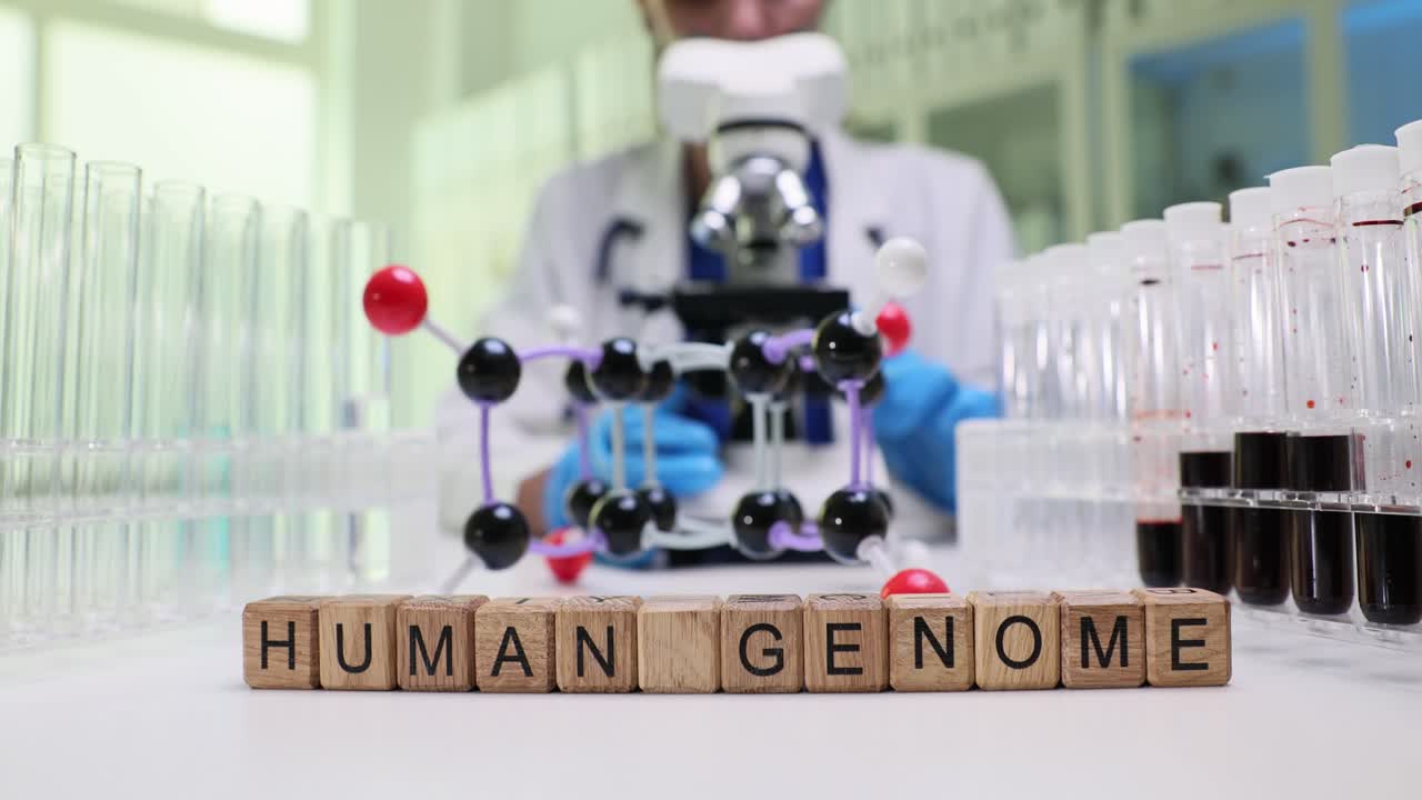 Holzwürfel bilden die Wörter menschliches Genom nahe einem DNA-Modell