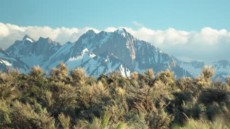 Ein-Ruhiger-Blick-Auf-Schneebedeckte-Berggipfel,-übersät-Mit-Wüstenbeifuß,-Unter-Einem-Klaren-Blauen-Himmel