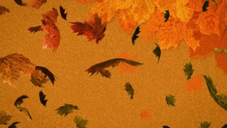 animation of multiple autumn leaves falling on brown background