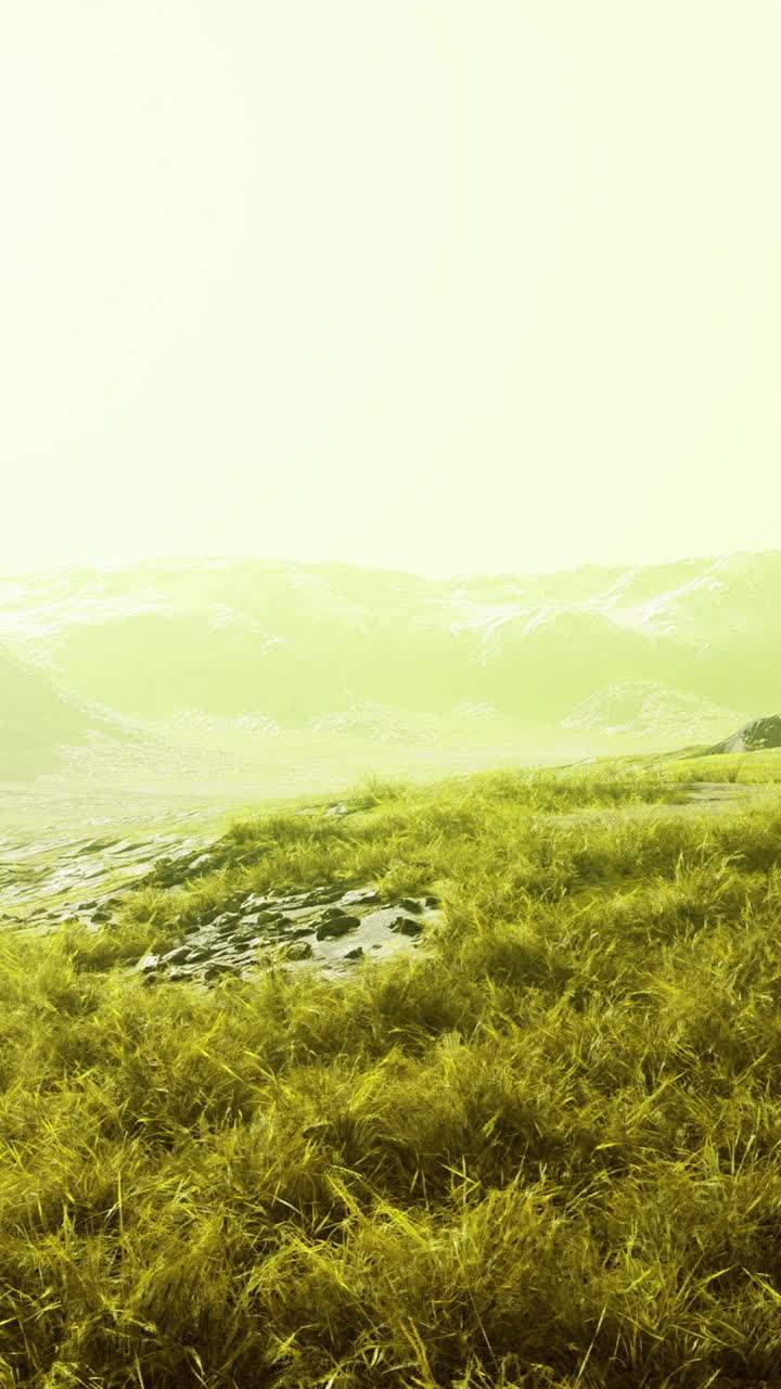 Vibrant landscape with lush green grass under a bright light
