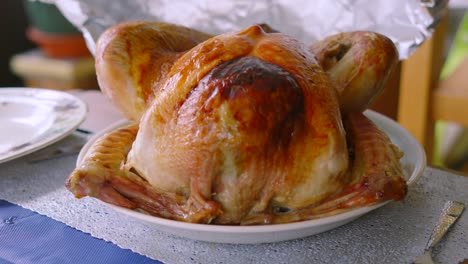 reveal of delicious whole large turkey ready to carve and serve to guests at dinner table. tradtionally served at thanksgiving or christmas.