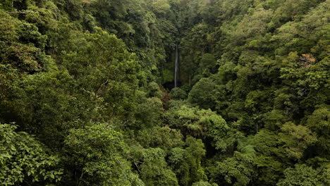 flying over dense forest towards secluded pucak manik waterfall in wanagiri, bali, indonesia