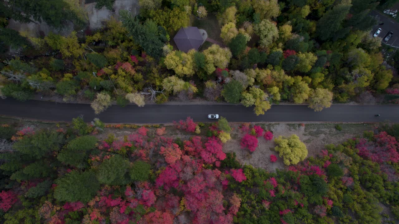 лесные деревья в красивых осенних цветах в каньоне американской вилки, горы уосатч, штат юта, с автомобилями, едущими по дороге