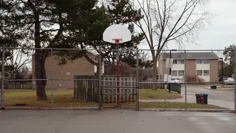 walking towards a basketball net on an overcast day on a toronto suburb