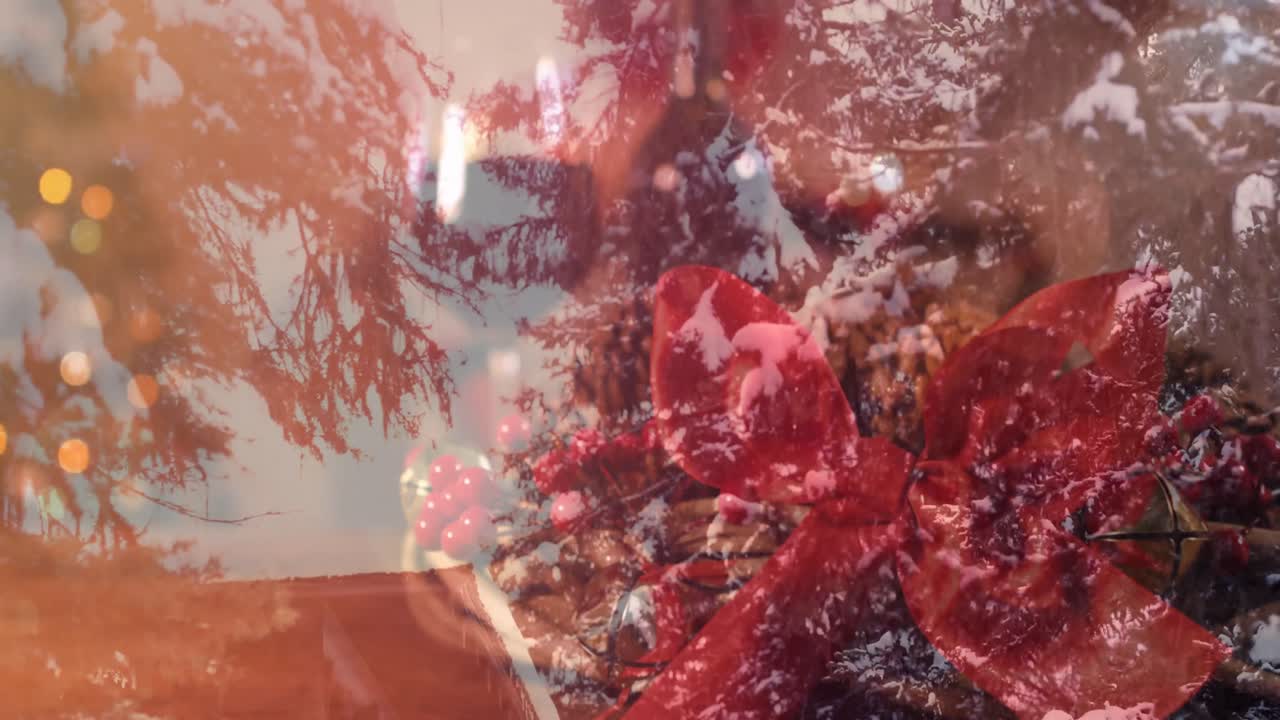 animación de árboles de abeto sobre la casa decorada en navidad