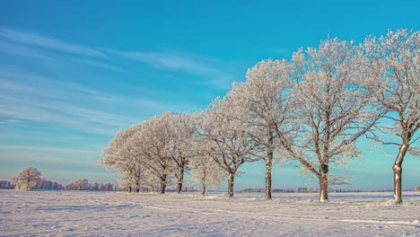 snow-covered land and trees under clear blue sky at daytime in winter