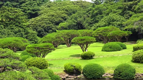 La-Vista-De-La-Gente-Que-Camina-En-El-Jardín-Nacional-Shinjuku-Gyoen