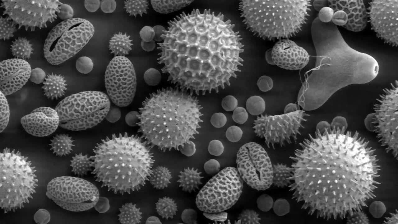 Fotografia microscopica di aerosol nell'atmosfera terrestre