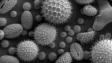 microscopic photography of aerosols in earths atmosphere