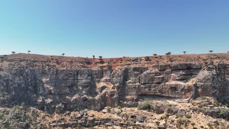 Sokotra-Drachenbäume-Aus-Der-Ferne-Im-Ayhaft-Canyon-Nationalpark-Auf-Der-Insel-Sokotra,-Jemen