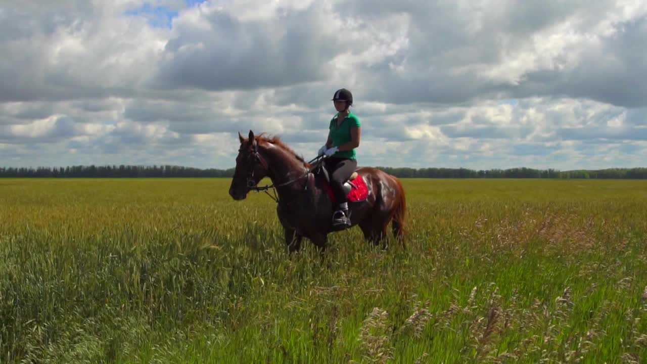 mujer a caballo en un campo