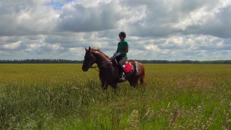 woman horseback riding in a field