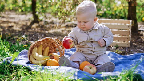 adorable baby boy with blond hair sits on the blanket outdoors. kid plays with fruit, picks an apple and tries to bite it. blurred nature at backdrop.