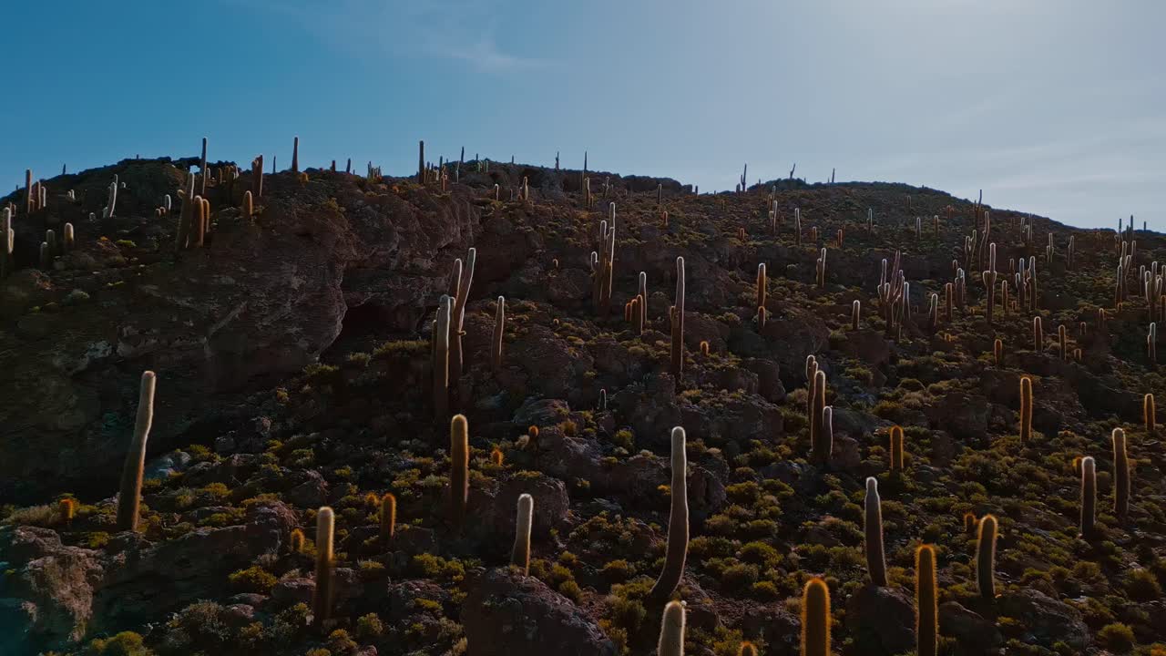 Experience the natural wonders of Bolivia with breathtaking drone footage capturing Isla Incahuasi and the expansive salt flats of Salar de Uyuni from above.