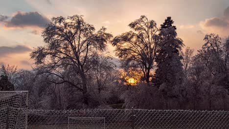 un hermoso atardecer sobre un campo de fútbol congelado con grandes árboles blancos helados en la distancia