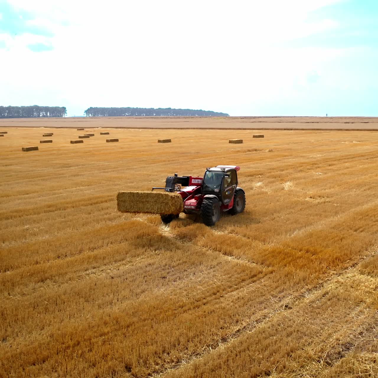 Tractor working on large field. Aerial view flying over wheat field and combine harvester tractor with trailer making stacks of wheat