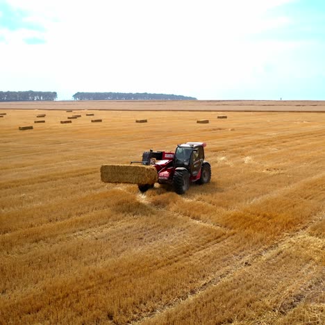 tractor working on large field. aerial view flying over wheat field and combine harvester tractor with trailer making stacks of wheat