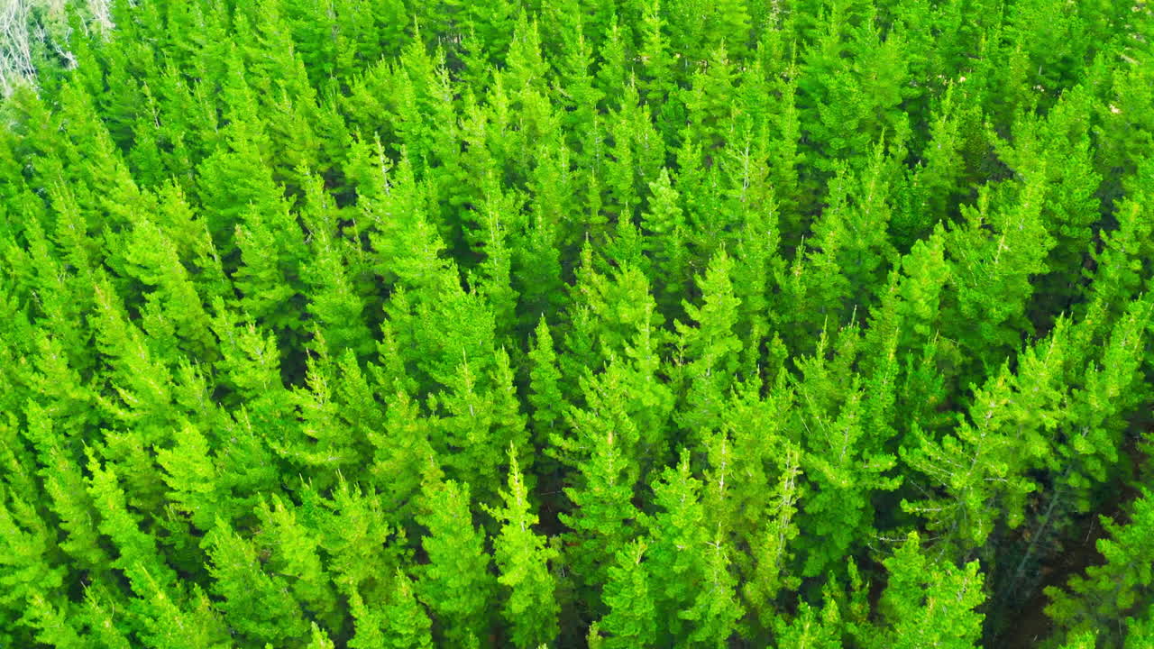 Наслаждайся видом.