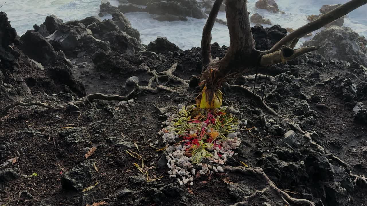 Static 4K shot of flower shrine on black volcanic ground near Kīlauea shoreline, with exposed roots and small plant in foreground and ocean waves rolling behind