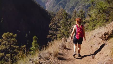 a woman hiking in a narrow path in a ravine, with a landscape plenty of trees in a volcaninc island