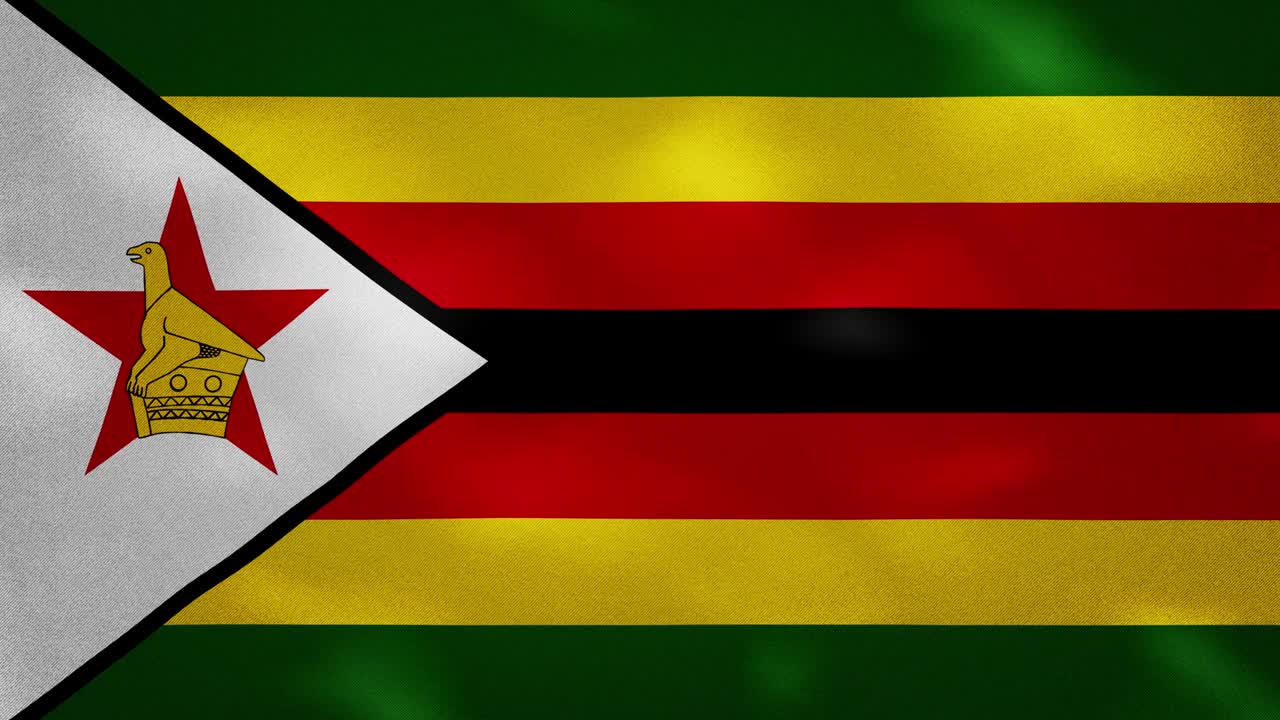 짐바브웨의 한 발 직물 흔들림, 배경 루프